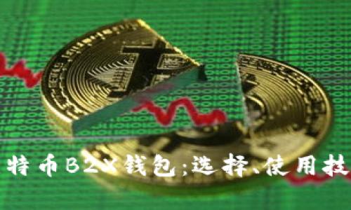 全面解析比特币B2X钱包：选择、使用技巧与安全性