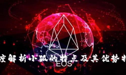 深度解析小狐的特点及其优势特性